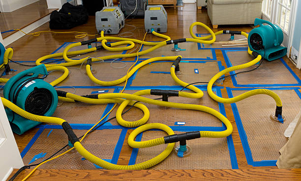 Professional Water Extraction technician working in Van Buren, MO